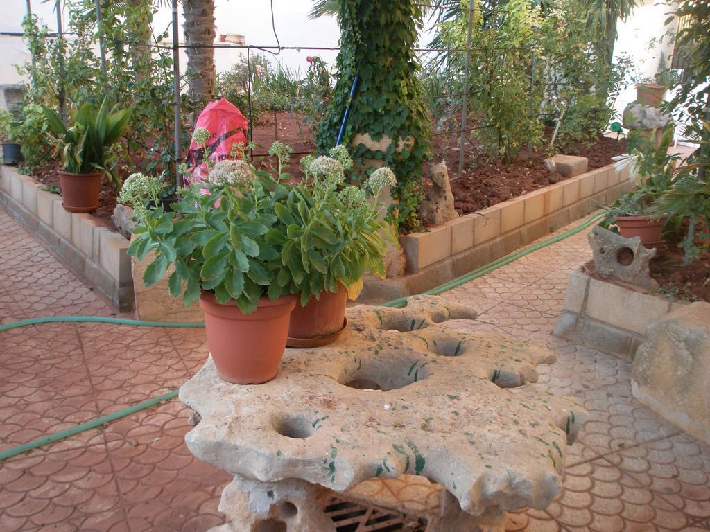Hostal Los Rosales Alcaraz Pokoj fotografie